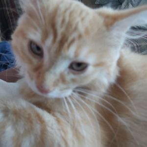 Meet your Posher, Joemarie